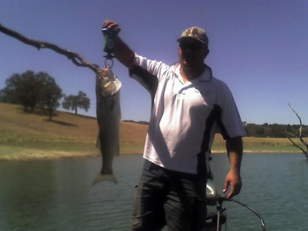 Striper
