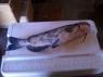 fishingbig11's picture